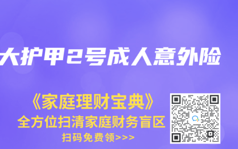 大护甲2号成人意外险