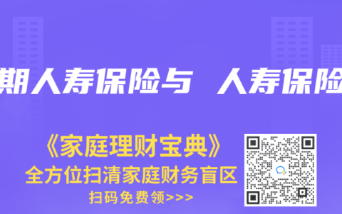 定期人寿保险与 人寿保险