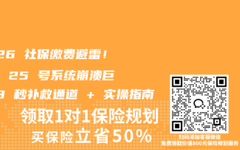 2026 社保缴费避雷！每月 25 号系统崩溃巨坑 3 秒补救通道 + 实操指南