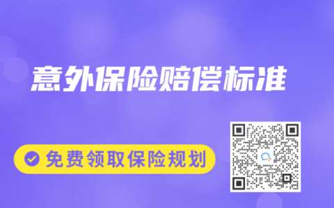 意外保险赔偿标准