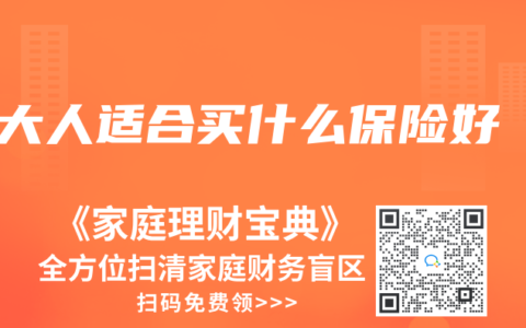 大人适合买什么保险好