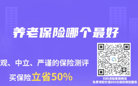 养老保险哪个最好