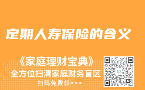 定期人寿保险的含义