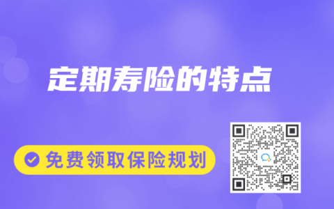 定期寿险的特点