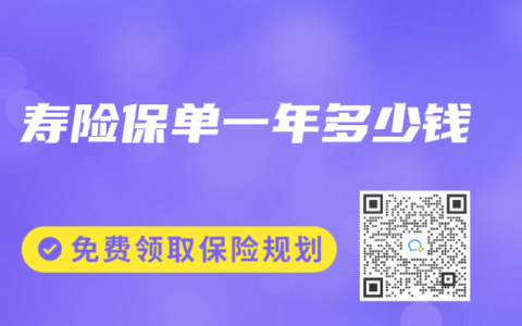 寿险保单一年多少钱