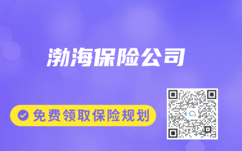 渤海保险公司