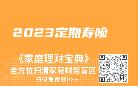 2023定期寿险