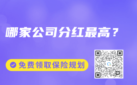 哪家公司分红最高？