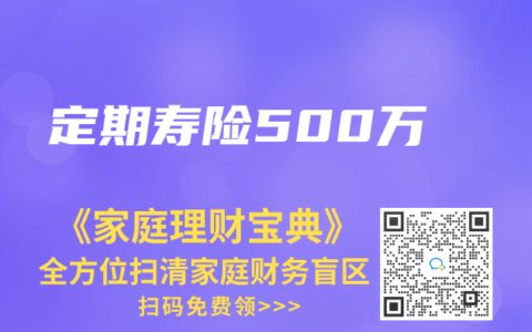 定期寿险500万