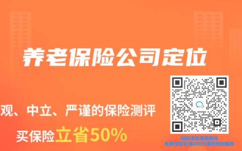养老保险公司定位