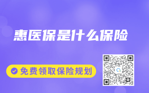 惠医保是什么保险