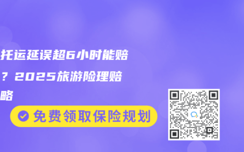 行李托运延误超6小时能赔多少？2025旅游险理赔全攻略