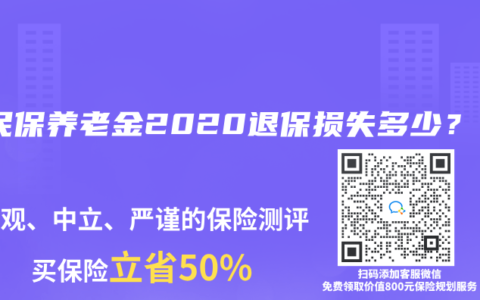 全民保养老金2020退保损失多少？