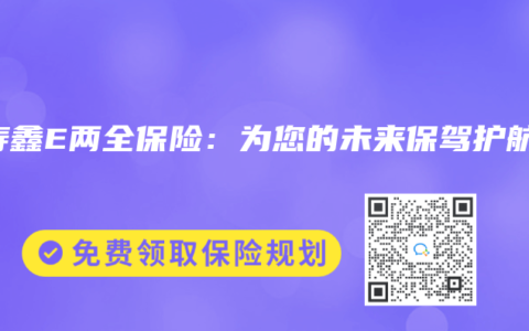 国寿鑫E两全保险：为您的未来保驾护航
