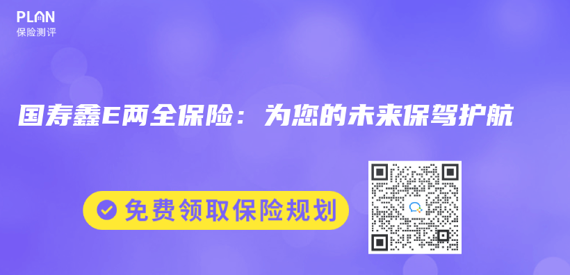 国寿鑫E两全保险：为您的未来保驾护航插图