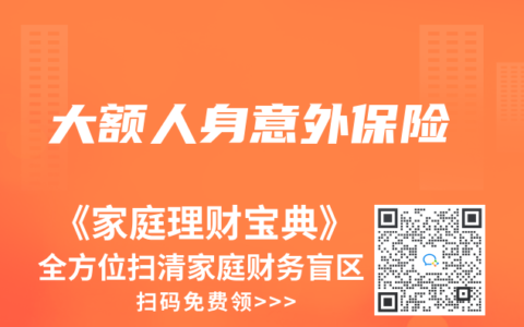 大额人身意外保险