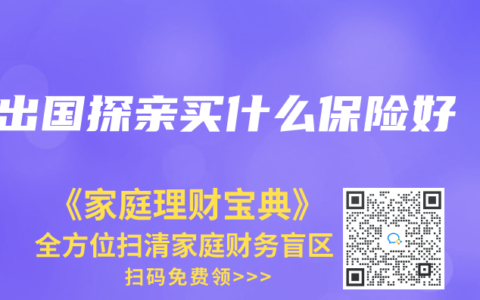 出国探亲买什么保险好