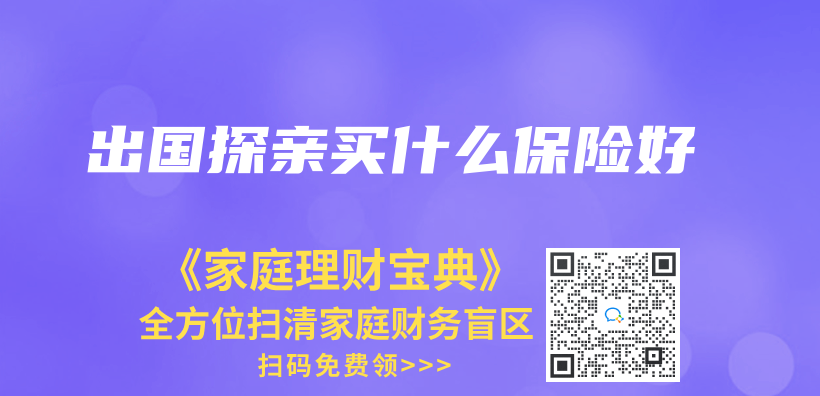 出国探亲买什么保险好插图