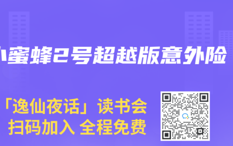 小蜜蜂2号超越版意外险