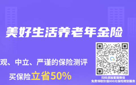 美好生活养老年金险