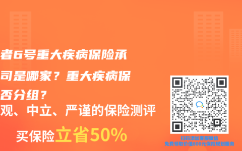 守护者6号重大疾病保险承保公司是哪家？重大疾病保险是否分组？