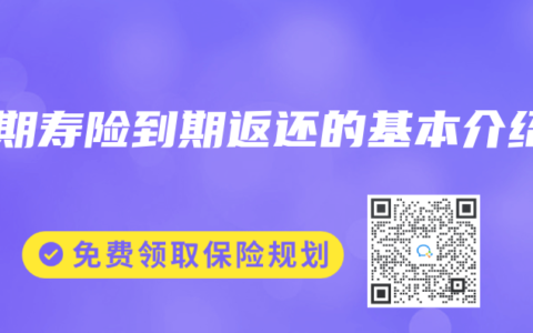 定期寿险到期返还的基本介绍