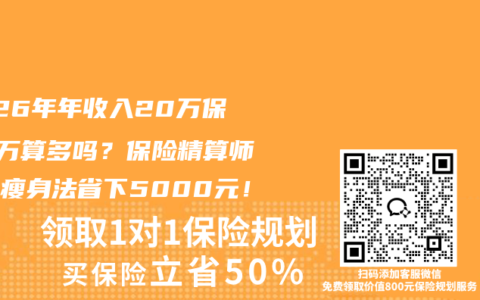 2026年年收入20万保费2万算多吗？保险精算师三步瘦身法省下5000元！