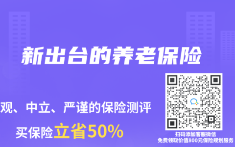 新出台的养老保险