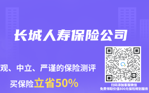 长城人寿保险公司