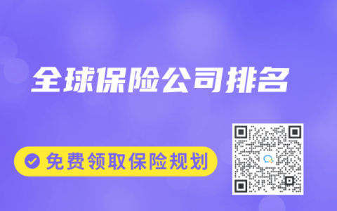 全球保险公司排名