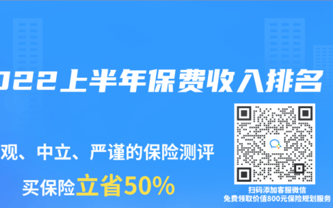2022上半年保费收入排名