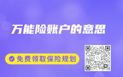 万能险账户的意思