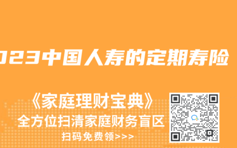 2023中国人寿的定期寿险