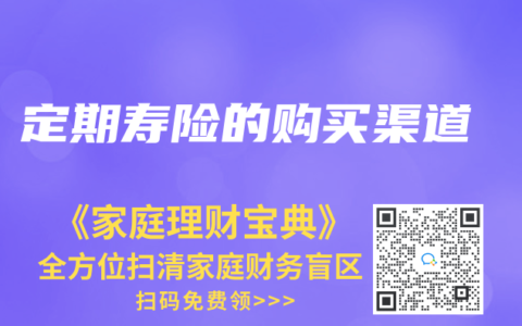 定期寿险的购买渠道
