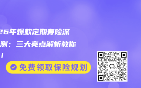 2026年爆款定期寿险深度评测：三大亮点解析教你避坑！