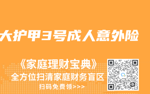大护甲3号成人意外险