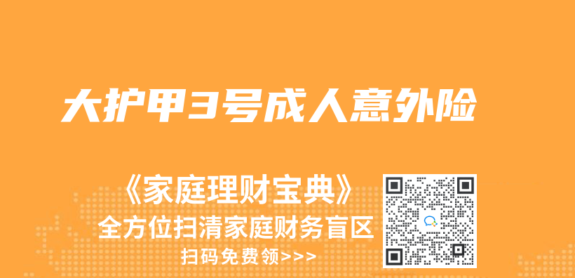大护甲3号成人意外险插图